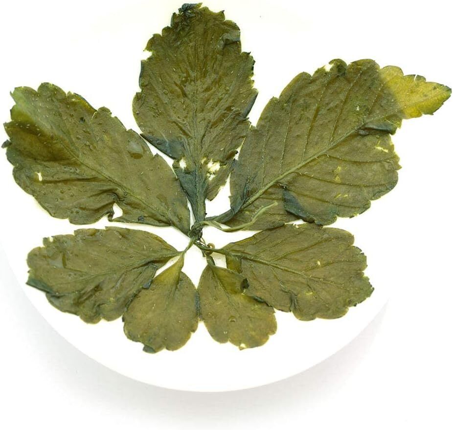 250g Premium Seven Leaf Jiaogulan Gynostemma Chinese Herbal GREEN TEA Loose Leaf