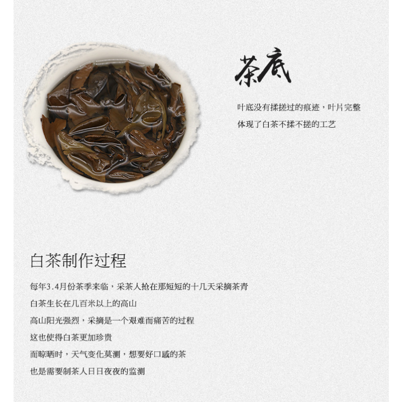 100g/3.52oz*3 Alpine Sun Date White Tea Fuding White Tea Shou Mei Tea Cake Tea