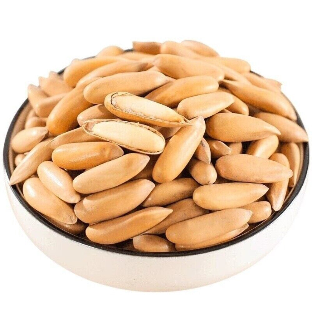 2024 Harvest Premium Pine Nuts Jumbo Size Healthy Natural Handpicked Snack