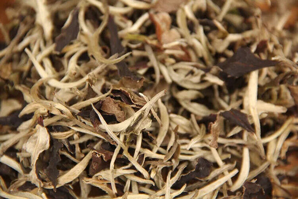 HelloYoung Pu'er Tea Moonlight White Raw Tea Scattered One Bud One Leaf Moonlight 250g
