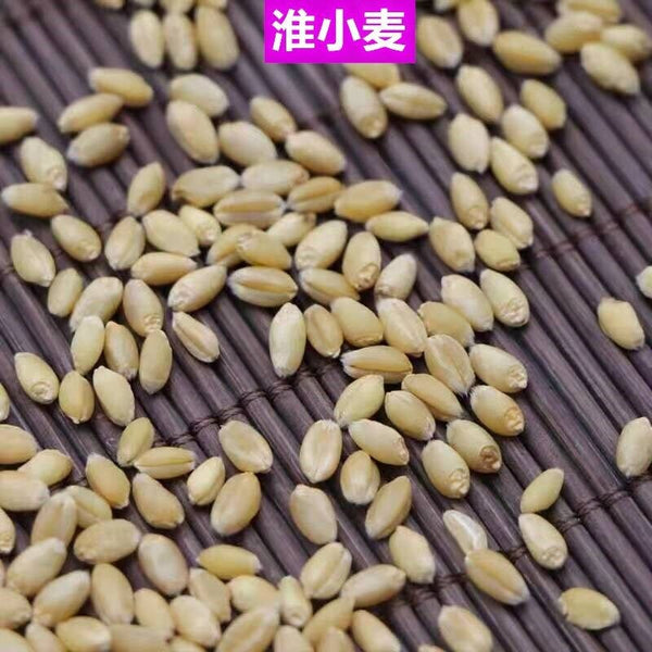 HelloYoung Floating WheatWhite Products Agricultural ProductsChinese Medicinal Herbs 500g