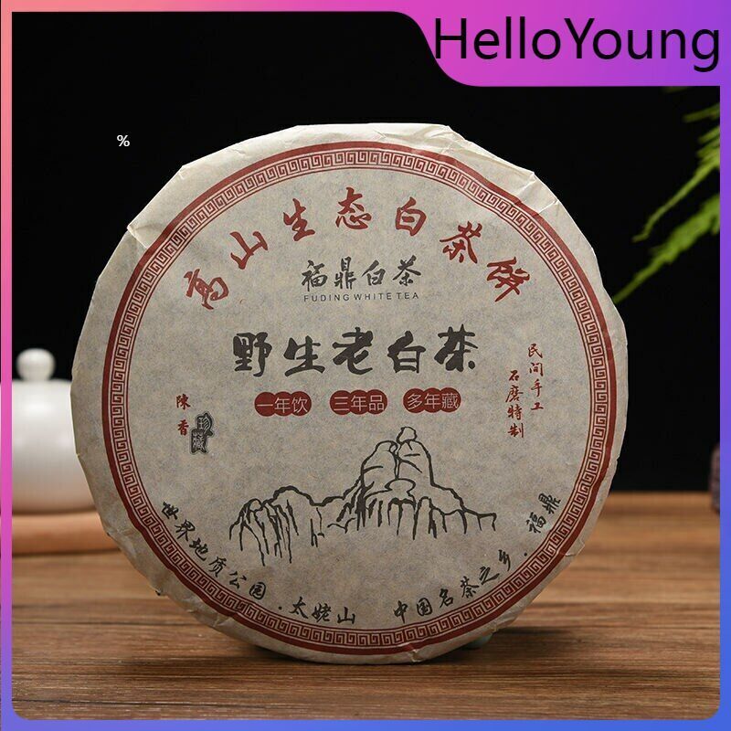 350g Fuding High Mountain Bai Cha Cake Shou Mei Premuim Wild Aged White Tea Main image