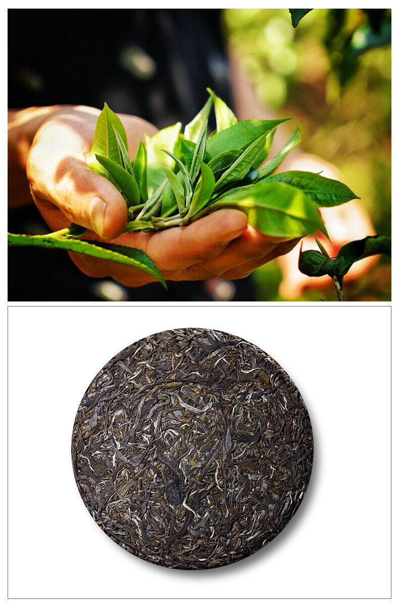 HelloYoung 357g Raw Tea Cake Yunnan Pu'er Tea Cake 冰岛五寨地界纯料春茶