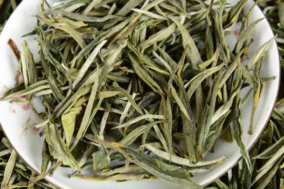 HelloYoung 500G Yunnan green needle green tea single bud strong aroma green tea straight