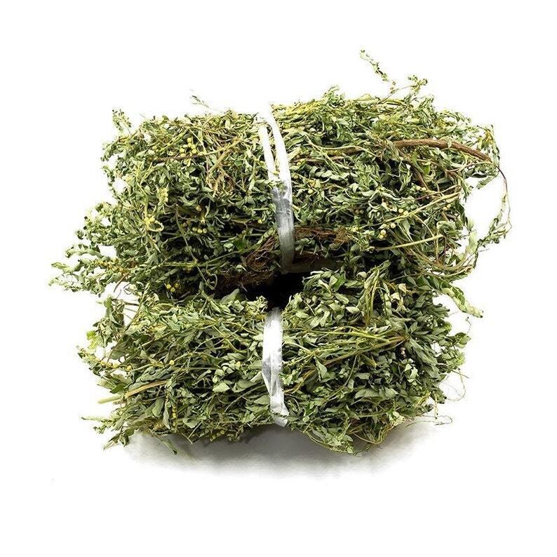 Herba Dried Phyllanthi Urinariae, Underleaf pearl, Phyllanthus urinaria Linn Main image