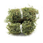 Herba Dried Phyllanthi Urinariae, Underleaf pearl, Phyllanthus urinaria Linn
