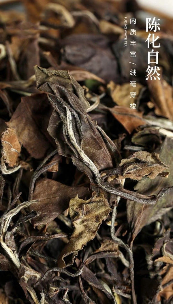 Aged White Tea Old Shou Mei Date Fragrance Authentic Tea