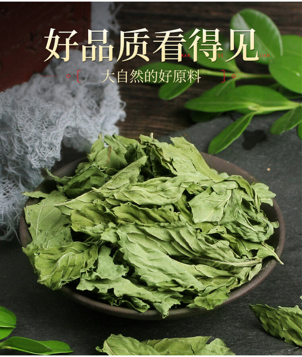 Dried Refreshing Tea Healthy Drink Organic Natural Mint Leaves