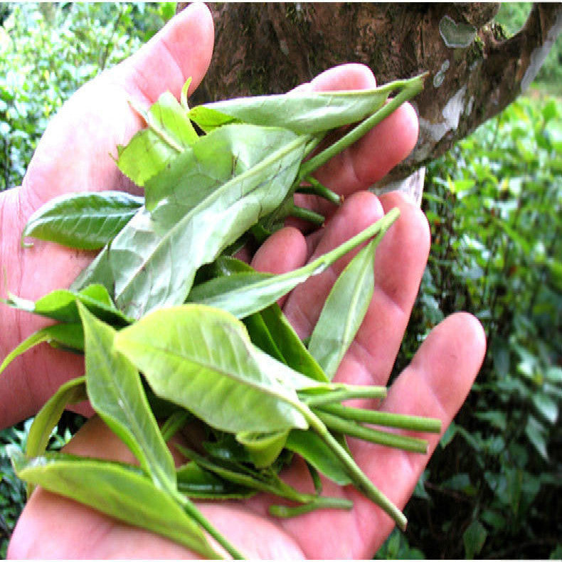 330g Ripened Pu-erh Tea Cake Organic Cooked Puer Tea Factory Direct Green Food 茶