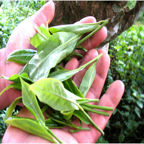 330g Ripened Pu-erh Tea Cake Organic Cooked Puer Tea Factory Direct Green Food 茶