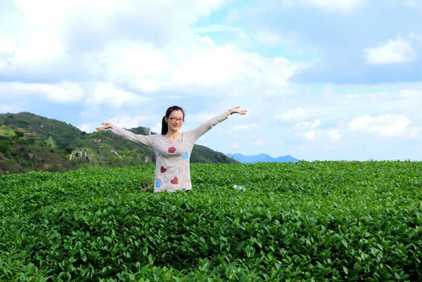 HelloYoung New Top Grade Tieguanyin Tea,Oolong,Tie Guan Yin Tea,Health Care Tea 250g