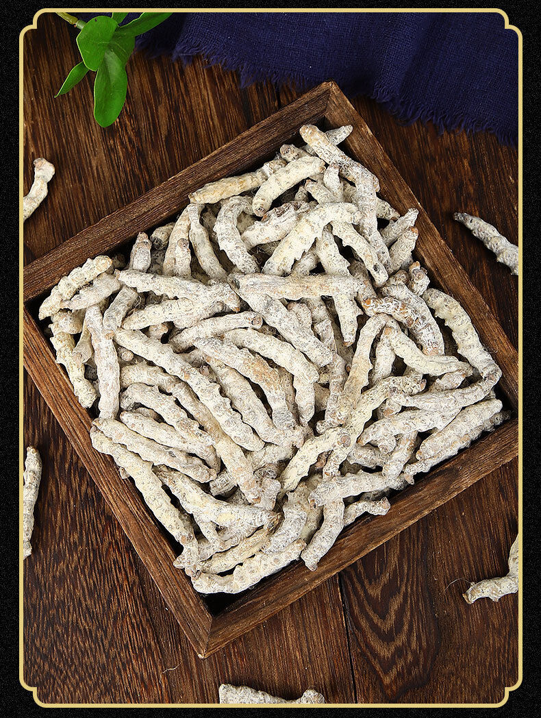 HelloYoung Stiffworms Chinese Herbal Medicine Stiffworms White Stiffworms 500g/1.1lb
