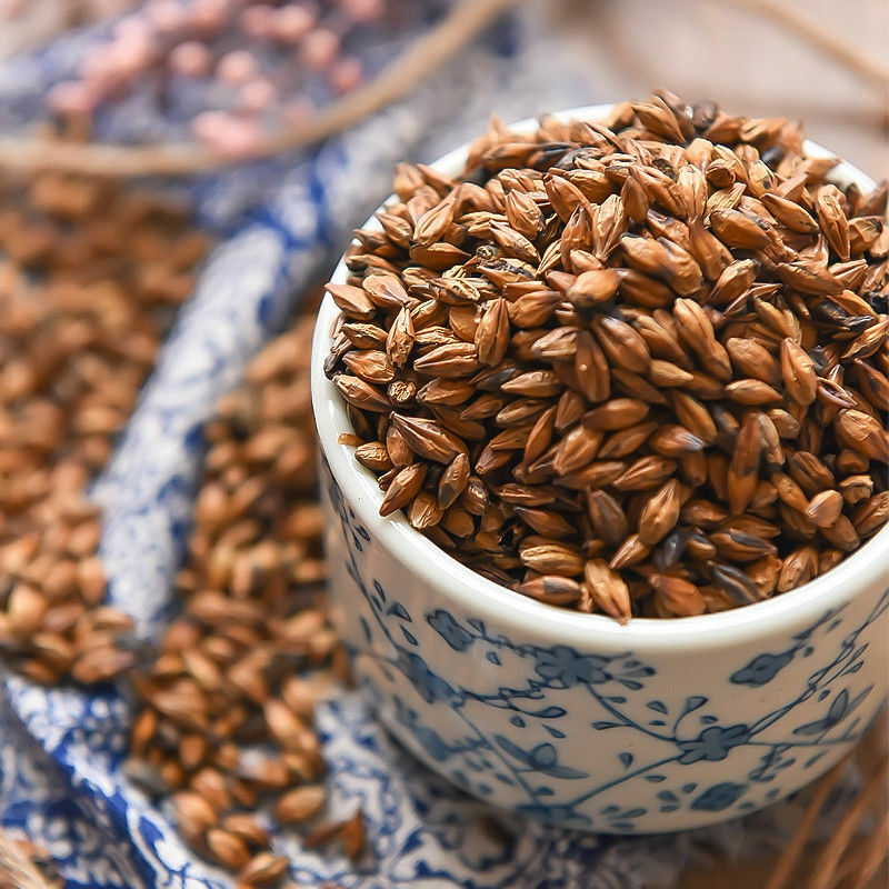 Gerstentee Itoen Japanese Mugicha Roasted Barley Tea Mugicha Roasted Barley Tea