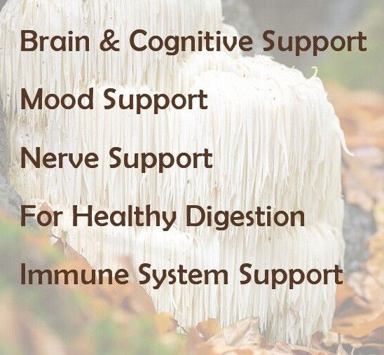 Lion's Mane Mushroom Powder Pure Extract 8.8oz