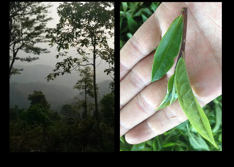 HelloYoung 357g Yunnan Tea Pu-erh Cake Tea Scraping Zhai Pu-erh Raw Tea Cake