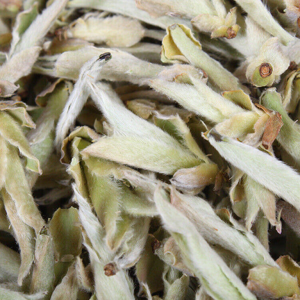 Organic  Pu'er Tea Daxue Mountain Spring Tea Raw Tea Ancient Tree Tea