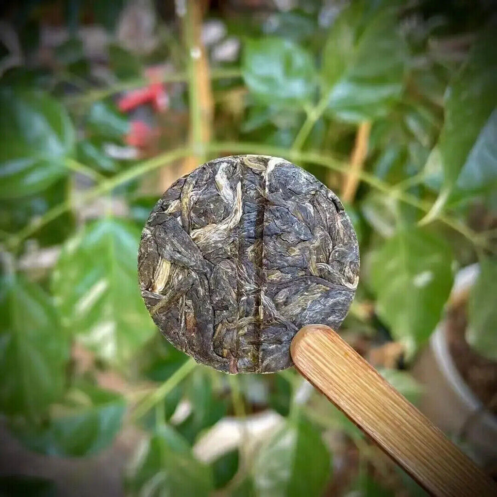 Mini Puer Tea Cake 6 Gram Raw Puerh Bing Cha Bingdao Sweet Raw Puer Tea Cake
