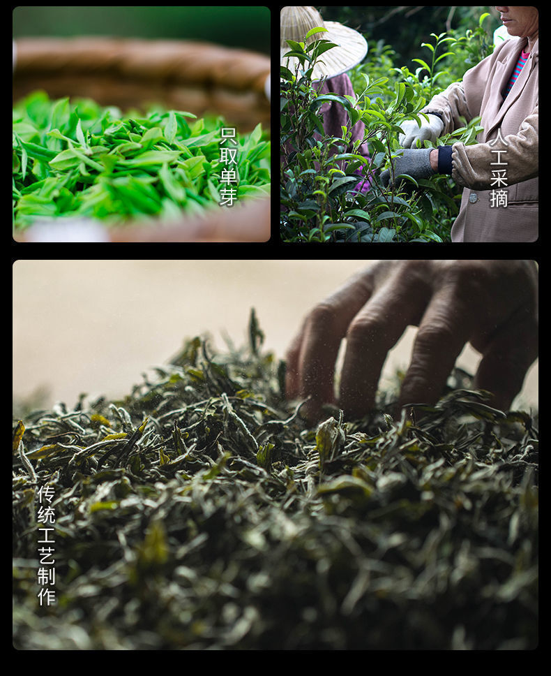 HelloYoung Golden Jun Mei Black Tea Special Grade Wuyi Strong Fragrance Honey Fragrance Tea