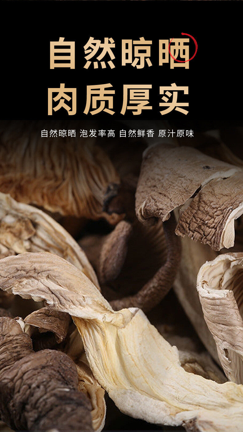 Fresh Oyster Mushroom Strips Phoenix Tail Mushroom Yunnan Farm Wholesale