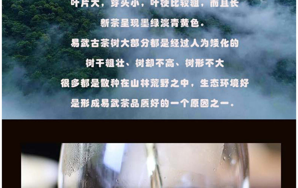 HelloYoung Yunnan Tea Yiwu High Pole Pu'er Tea Raw Tea 357g Cake Tea