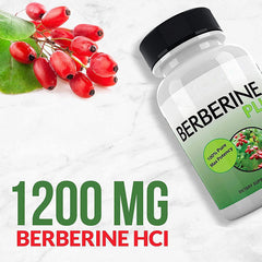 Berberine Plus 1200mg Per Serving - 120 Veggie Capsules Royal Jelly, Supports