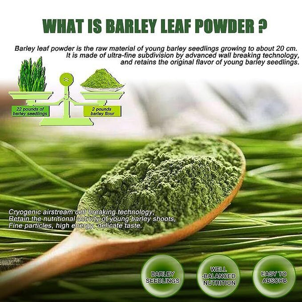 HelloYoung Imported Organic Barley Grass Raw Organic Perfect FoodGreen Superfood