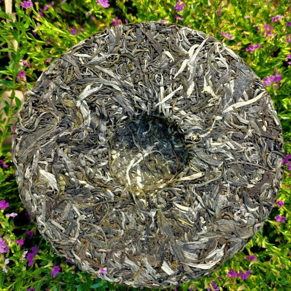 HelloYoung 357g Natural Arbor Yiwuqingbing  Pu'er Tea Health Care Organic Pu'er Cha Tea