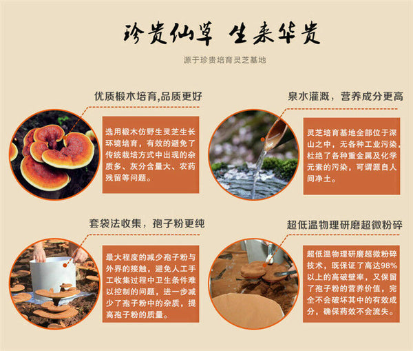 HelloYoung 500g Chinese Spore Powder Wild Reishi Ganoderma Lucidum Tea Powder Herbal Tea