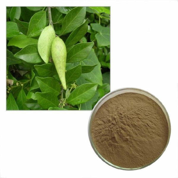 1LB Gymnema Sylvestre Extract Powder, 10:1 Ratio, Pure