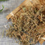 HelloYoung Natural Organic Herbs Gujingzi Chinese Healthy Specialty 谷精草 250g/500g