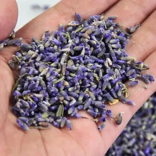 Lavender Flower Tea for Relieving Stress Chinese Herb Tea High Quality Main image