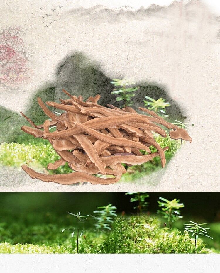 Health Dried Wild Lingzhi Red Reishi Mushrooms Ganoderma Lucidum Slices tea 250g