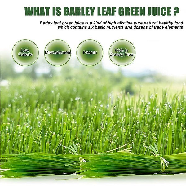 HelloYoung Imported Unsweetened Premium Organic Barley Grass Low Carb Diabetic