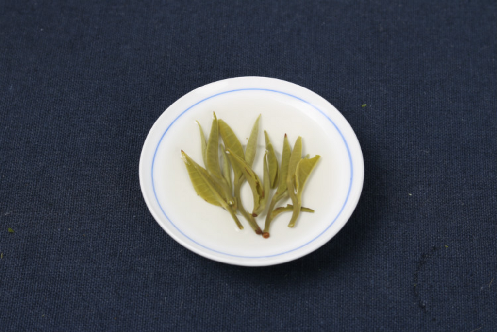 HelloYoung 500g loose tea early spring tea Cui Ming new tea Yunnan green healthy tea