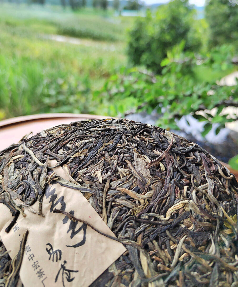 HelloYoung 357G Yiwu Pu'er Tea Raw Tea Bent Bow Ancient Tree Tea Yunnan Tea Seven Cakes