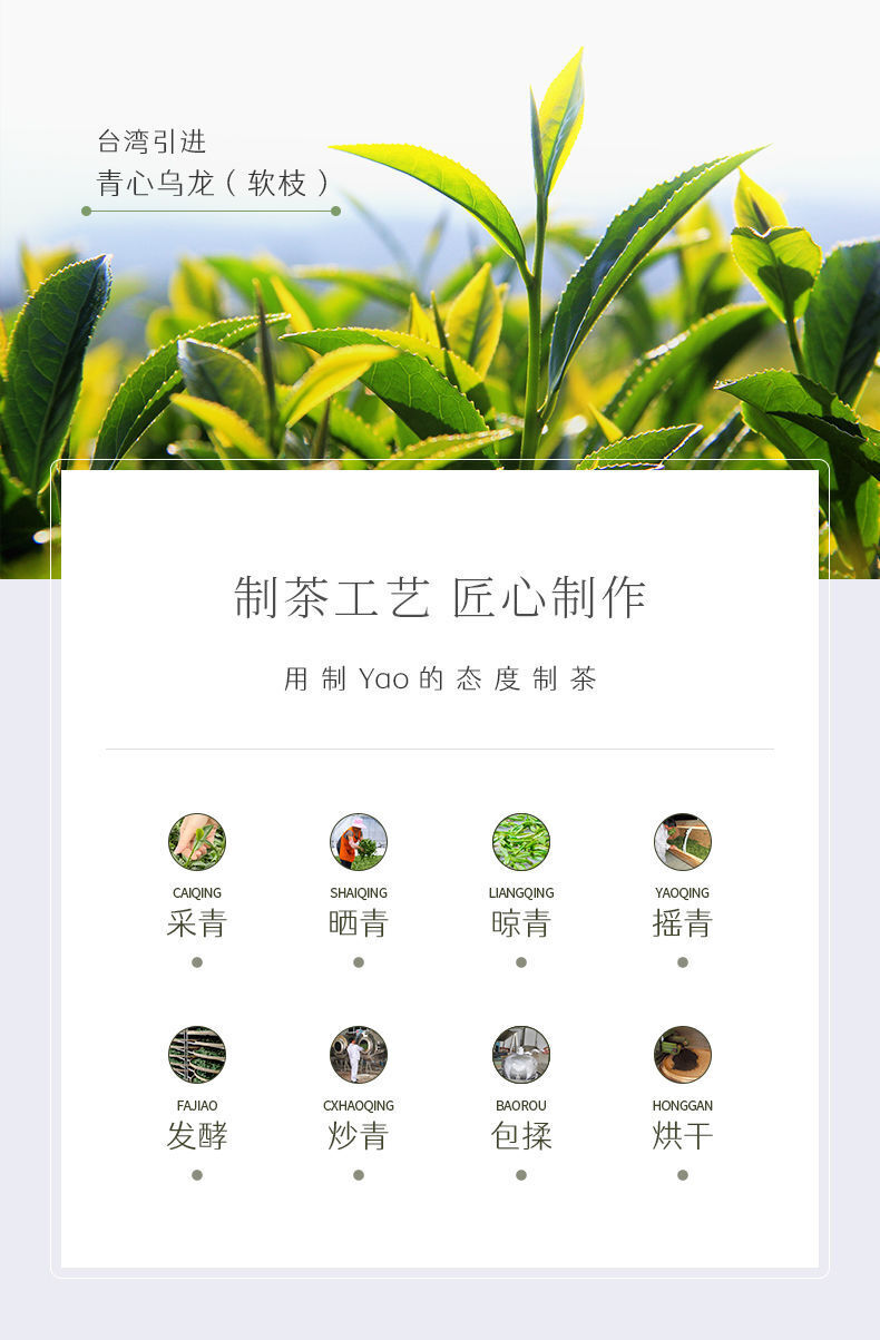 Jibian Spring Rain Fresh Aroma High Mountain Oolong Tea 150g Premium Loose Leaf