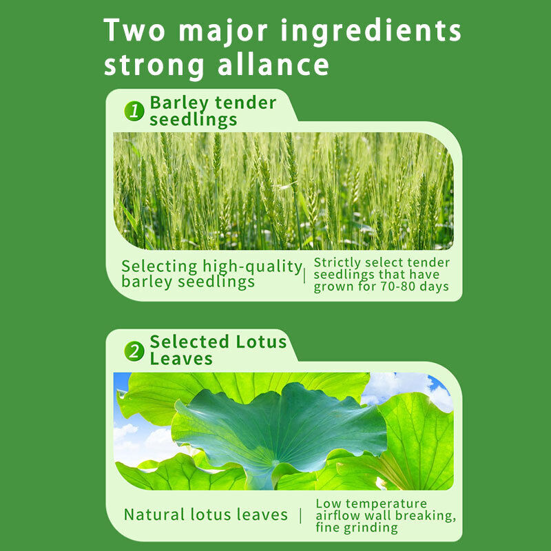 Meal replacement barley seedling green juice powder