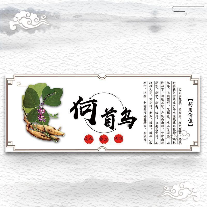250g  Yunnan Polygonum Multiflorum Powder