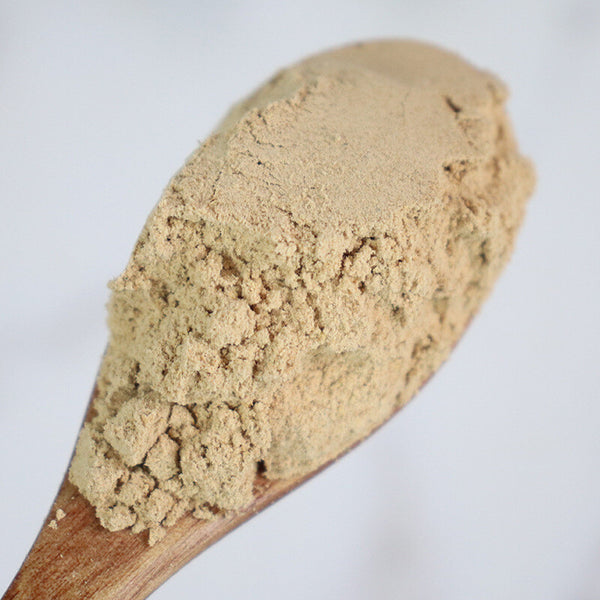Radix Polygalae Powder Freshly Ground Yuanzhi Powder 远志粉 Chinese Herbs