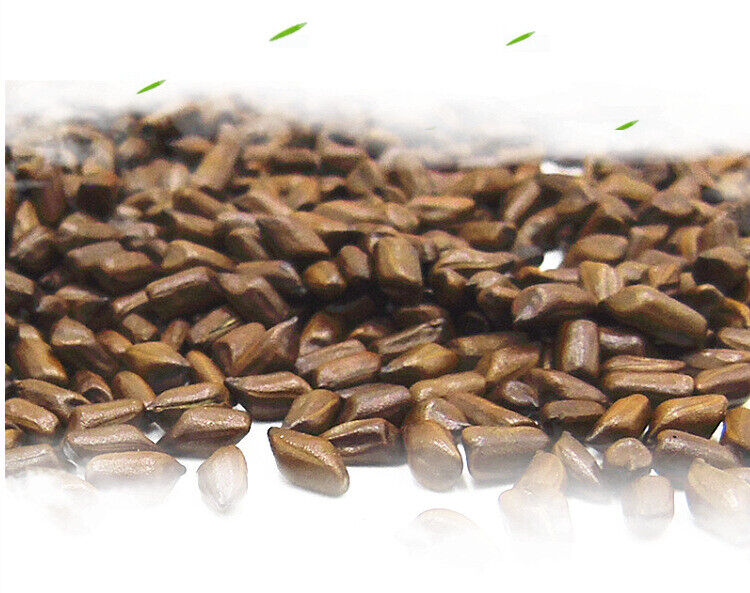 HelloYoung 500g Cassia seeds tea new product cooked cassia seeds tea bulk herbal tea