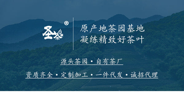 Grade Two Phoenix Style Pre-Qingming Gift Box Green Tea 125g New Anji White Tea