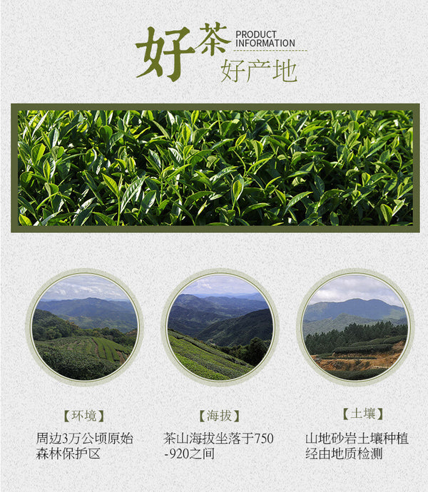 Strong Aroma Charcoal Roasted Shui Xian Black Oolong Loose Leaf Wuyi Rock Tea
