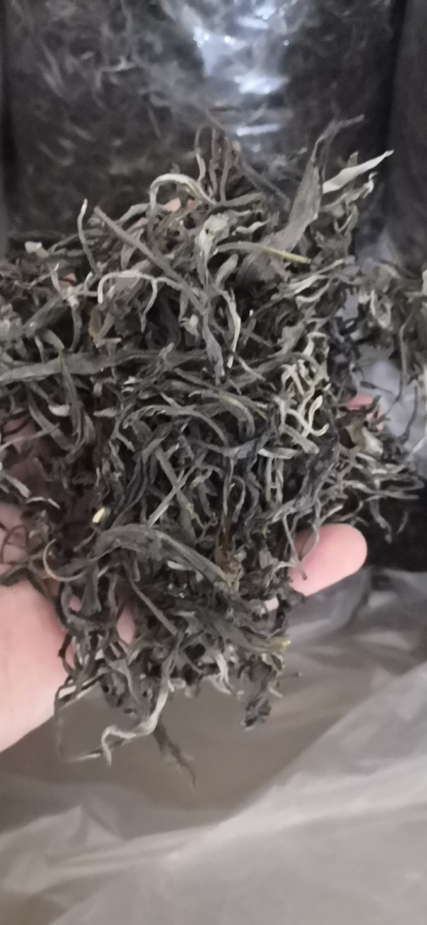 HelloYoung 500G Old Tree Puerh Loose Tea Own Ancient Tea Plantation Raw Ancient Tree Puerh
