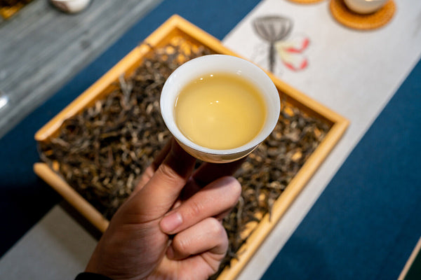 HelloYoung 500g Knowing Over Ancient Puerh Raw Tea Honey Scented Orchid Scented Green Tea