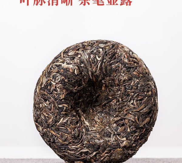 Yunnan Ancient Tree Puerh Tea Raw Tea Golden Melon Tribute Tea Yiwu 500g