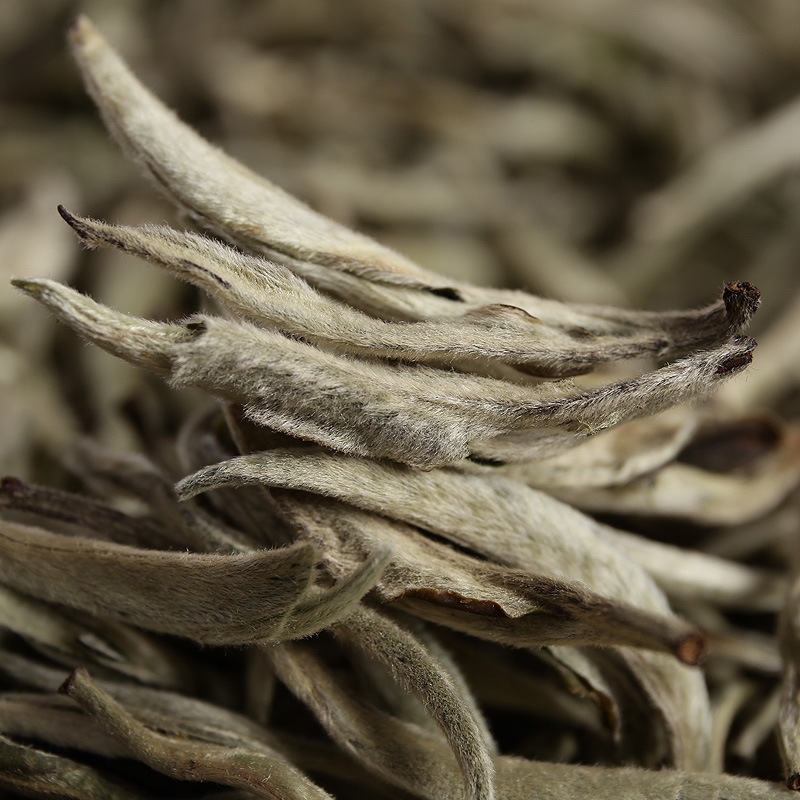 HelloYoung Pu'er raw tea white hair silver needle white hair single bud moonlight white tea Secondary image
