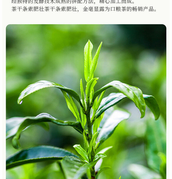 Tea Puerh Tea Jasmine Tea Loose Leaf Ripe Tea Puerh Tea 300g/10.58oz