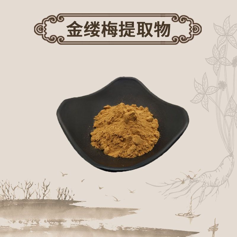 Pure Witch Hazel Extract Powder Hamamelis Virginiana Water Soluble Herbal Tea Main image