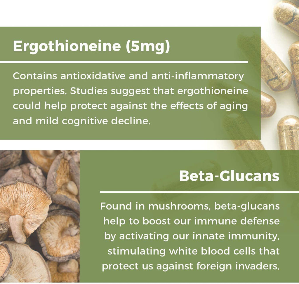 ERGO+L-ERGOTHIONEINE Oyster Mushroom Capsule Supplement 60 Capsules