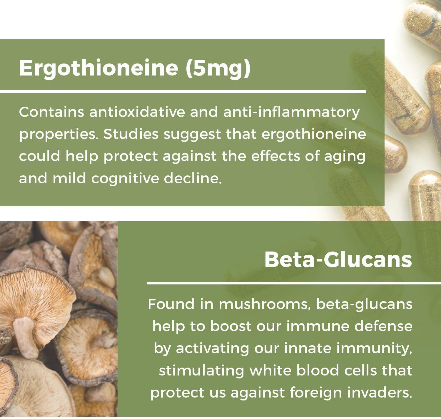 ERGO+L-ERGOTHIONEINE Oyster Mushroom Capsule Supplement 60 Capsules